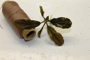 Изображение 3131.jpg