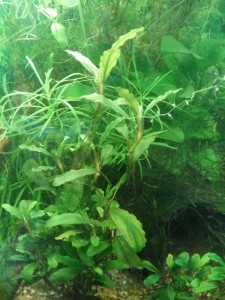 2015-10-03 17.10.40.jpg