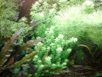 20150722_194117.jpg