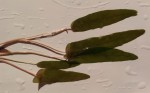 20151018_091203.jpg