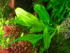 20151025_183330.jpg