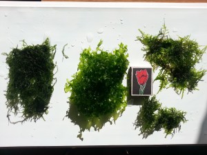 20151029_092559.jpg