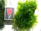 20151029_092634.jpg