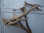 DSC01718.JPG