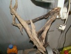 DSC01722.JPG