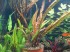 DSC05595.JPG