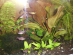 DSC06725.JPG