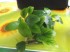 DSCF1184.JPG