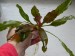 DSCN7915.JPG