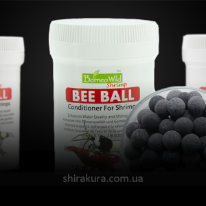 borneowild_bee_ball.png