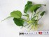 copy_290_DSC3356.jpg