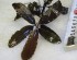 copy_393_DSC3334.jpg