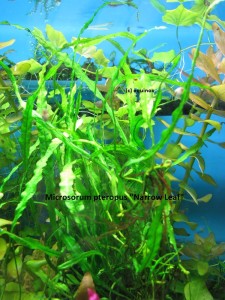 copy_560_IMG_88941.jpg