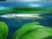 copy_680_copy_837_IMG_26851.gif