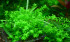 copy_841_copy_536_DSC_8780.jpg