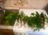copy_888_image7.jpeg