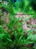 copy_933_narrow.k.jpg