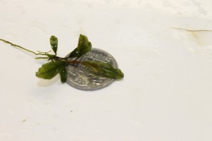 Изображение 3212.jpg