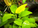 100_4849.JPG