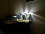 2014-03-24 10.08.10.jpg