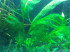 20151126_120404.jpg