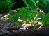 DSC00480-1024x768.jpg