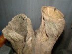 DSC01714.JPG