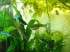 DSCF1611.JPG
