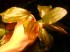 DSCN0138.jpg