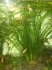 DSCN0152.jpg