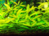 DSCN3980.JPG