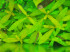 DSCN3985.JPG