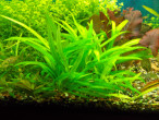 DSCN3999.JPG