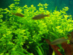 DSCN4009.JPG