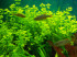 DSCN4009.JPG