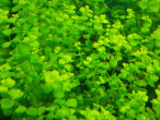 DSCN4014.JPG