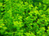 DSCN4014.JPG
