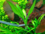 DSCN4022.JPG