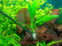 DSCN4023.JPG