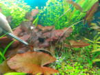 DSCN4026.JPG