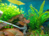 DSCN4028.JPG
