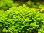 DSCN4452.JPG