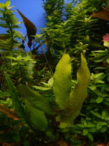 DSCN5752.JPG