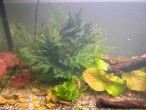 DSCN5755.JPG