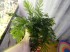 DSCN5768.JPG