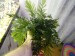 DSCN5768.JPG
