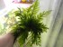 DSCN5770.JPG