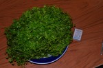 DSC_5846.JPG
