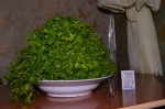 DSC_5847.JPG