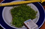 DSC_5853.JPG